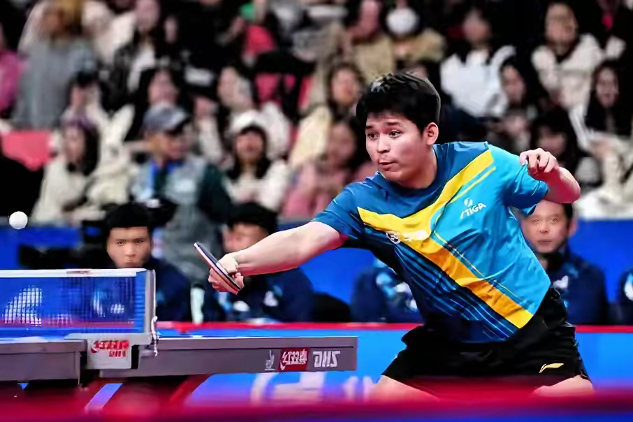 包含英格兰队逆转葡萄牙队,樊振东关键制胜的词条 包含英格兰队逆转葡萄牙队,樊振东关键制胜的词条