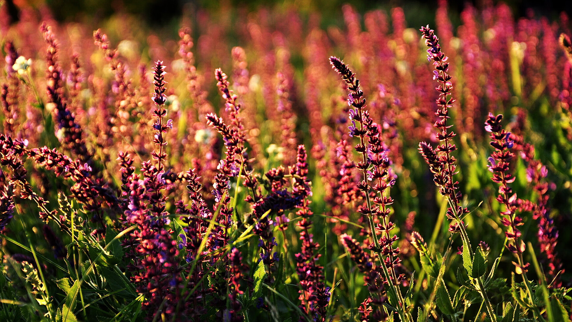 抢七夜天神下凡！巴雷拉用史诗级数据炸裂赛场，他定义了何为超级巨星